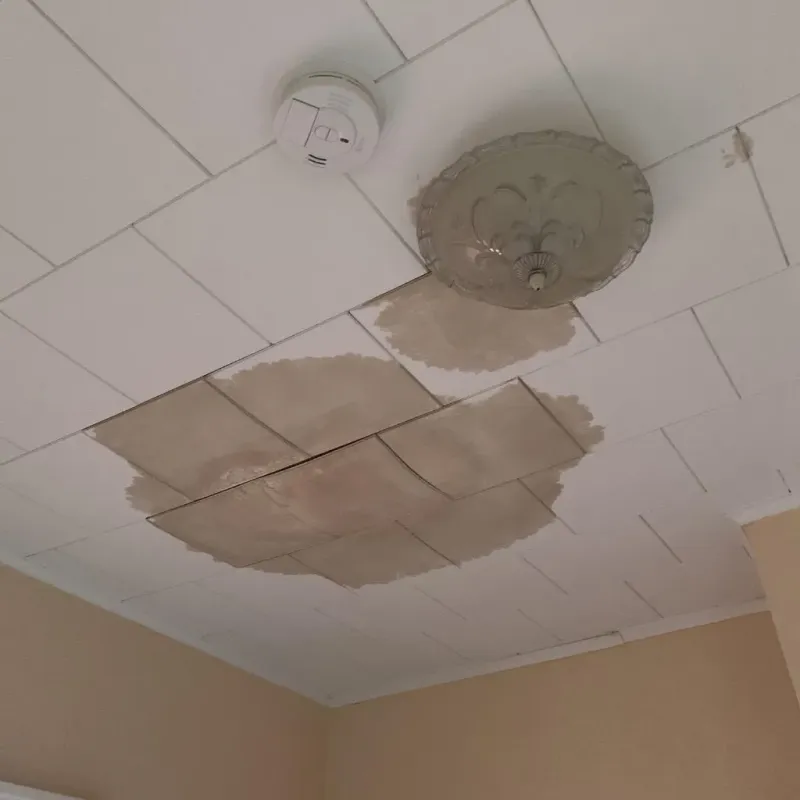 Ceiling Water Damage Repair in Yanceyville, NC