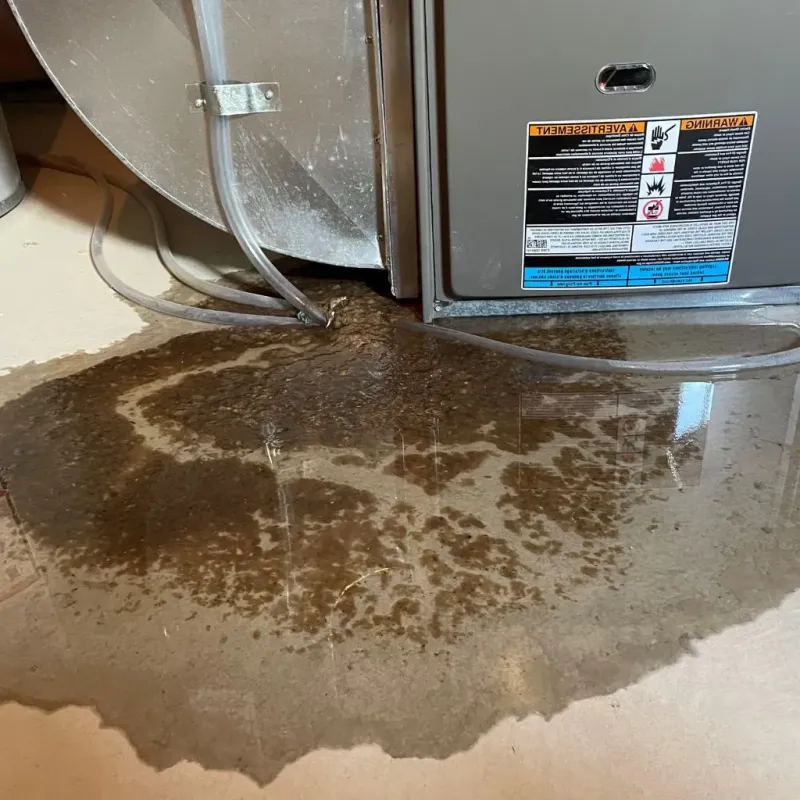 Pipe Burst and Leak Restoration in Yanceyville, NC